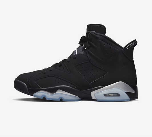 Jordan 6 Metallic Silver